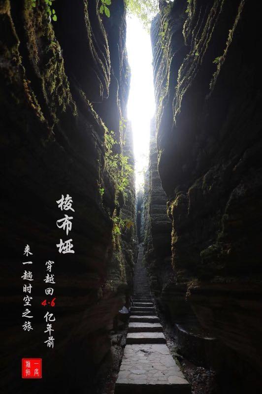 忍者跳跃试炼